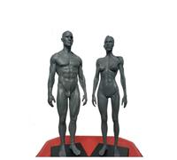 11.8in Human Muscle Skeleton Anatomy Model