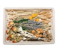 11 Kind Dried Flowers Set, Bulk Natural Dried Flowers with Stems for Vase, Mini Dried Rose & Bunny Tail Bouquet for DIY Crafts, Boho Home Wedding Table Décor(Multicolor)