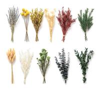 11 Kinds Dried Flowers Set with Lavender, Eucalyptus, Bunny Tails for DIY Crafts, Vase Decor, Wedding, Home, Boho