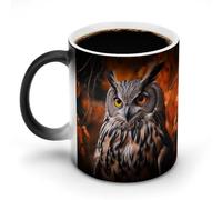 11 Oz Color Changing Coffee Mug, Owl Heat Sensitive Ceramic Cup with Handle, Novelty Magic Cup, Dishwasher Safe, Funny Custom Gifts for Coffee Lovers Women Men