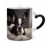 11 Oz Cute Boston Terrier Color Changing Coffee Mug, Heat Sensitive Ceramic Cup with Heart Handle, Novelty Magic Cup, Dishwasher Safe, Funny Custom Gifts for Coffee Lovers Women Men