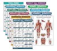11 Pack - Exercise Poster Set: Dumbbell, Suspension, Kettlebell, Resistance Bands, Stretching, Bodyweight, Barbell, Yoga, Exercise Ball, Muscular System, Medicine Ball (LAMINATED, 18" x 27")