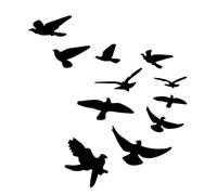 11 PCS Mirror Wall Stickers, Flying Birds Wall Decal Bird Shape Mirror Wall Decal 3D Birds Wall Decor Removable Wall Art Decals for Home (Black)