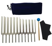 11 Pcs Tuning Fork Set for Chakra Healing, Unweighted Tuning Forks with Storage Bage, Rubber Mallet and Cleaning Cloth, Chakra Sound Therapy Tools, 252.44Hz - 442.26Hz