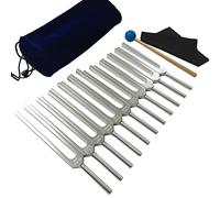 11 Pcs Tuning Fork Set, Perfect For Full Body Healing, Chakra, Sound Therapy, With Silicone Hammer Cloth And Bag, Gift For Buddhists Yoga Teacher Sound Healer