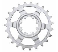 11-speed sprocket for Campagnolo 23t, last position