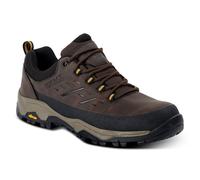 (11 UK, Peat/Wood) Regatta Mens Blake Breathable Low Cut Walking Shoes