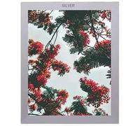 11 x 9 Inch Photo Frame (Silver) Premium Quality Mdf Wood Material Modern Classic Design Poster Document Frame Landscape Portrait Home Decor Wooden Decoration