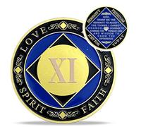 11 Year NA Medallions - Recovery Narcotics Anonymous Chips - Eleven Year Living Clean Sobriety Coin - (Years 1-30) Journey Celebrate Recovery Addicts - Narcotics Anonymous Gifts for Men Women
