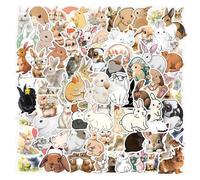 110 Pcs Colorful Rabbit Stickers, Cute Aesthetic Animal Rabbit Sticker Pack for Mac-Book, Phone,Skateboard, Luggage,Laptop, Water Bottle,Bumper,Scrapbooking, Art Crafts,Bullet Points Etc.