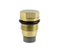 1110010015 Fuel Rail Pressure Relief Limiter Replacement For Ford Ranger Honda Accord Civic Voyager