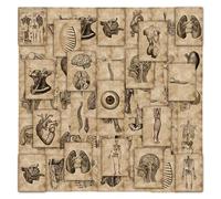 112 Sheets of Human Skeleton Stickers, Medical Student Stickers for Decoration, DIY Scrapbook Decoration Stickers, Waterproof Stickers