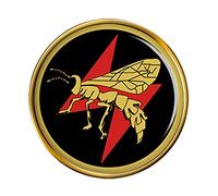 113 Squadron IAF Israeli Air Force Pin Badge