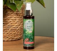 Samuel ALEXANDER 114ml White Winter Fir Scentsicles Christmas Decoration Spray Mist