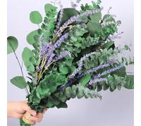 115 PCS Large Dried Preserved Eucalyptus Stems & Lavender Flowers Bundle for Shower, 17'' Real Fresh Hanging Silver Dollar Leaves, Aromatic Self-Care Shower Plants, Natural Fragrance, Home Decor