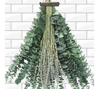 115 PCS Mixed Dried Eucalyptus Stems with Lavender Flowers Bundle for Shower, 17'' Natural Real Live Eucalyptus Leaves Branches Hanging Shower Plant for SPA Home Fragrance Bathroom Table Vase Decor