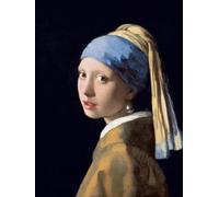 11CT Cross Stitch Patterns Girl With A Pearl Earring Embroidery Kit Famous Oil Paintings Counted Stamped Pre Printed Cross Stitch Set For Adults Beginners Starter Advanced Easy Crossstitch 40x50cm