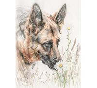 11Ct Diy Stamped Cross Stitch Kit German Shepherd Animal Counted Cross Stitch Kits Dog And Daisy Flowers Cross-Stitch Kits Counted Embroidery Kits For Adults, Embroidery Kit Needlework Wal 40x50cm