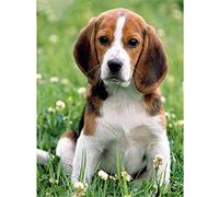 11CT Stamped Cross Stitch Embroidery Kits Dog Beagle Hound Pre-Printed Pattern Counted Cross-Stitching Kits Fabric Needlepoint Crafts Needlework gifts-16x20 inch