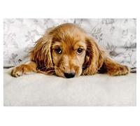 11CT Stamped Cross Stitch Kits for Beginners Cute Puppy Cocker Spaniel Pre-Printed Pattern Stamped Embroidery Kits Fabric Needlepoint Crafts Needlework gifts-16x20 inch
