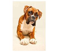 11CT Stamped Cross Stitch Kits for Beginners Dog Boxer Pre-Printed Pattern Stamped Embroidery Kits Fabric Needlepoint Crafts Needlework gifts-16x20 inch
