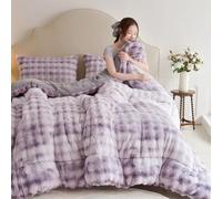 11Lb Warm Ra-bbit Plush Quilt Winter Blanket 5 Kg Double-Sided Velvet Quilt Thickened Warm Autumn Spring Plush Comforter Core,H,70x86in 7.7Lb