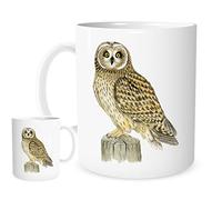 11OZ A Short-Eared Owl Mug for Tea or Coffee