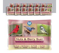 11oz Year Round Premium Nuts & Berry Suet Cake 12pk