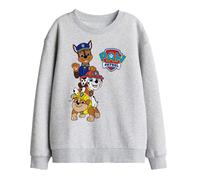(12-13 Years, Athletic Heather) Paw Patrol Childrens/Kids Pups Logo Sweatshirt