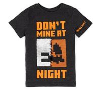 (12-13 Years, Black/Orange) Minecraft Childrens/Kids Dont Mine At Night Sequin Flip T-Shirt