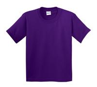 (12-14 Years, Purple) Gildan Childrens Unisex Soft Style T-Shirt