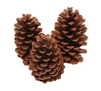 12-15cm Pine Cones Pendant Big Tree Hanging Balls Party Decoration Christmas Tree Ornaments Drop Ornament Nice and Practical