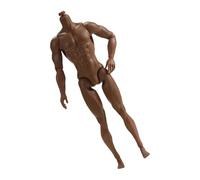 12.20Inch Articulated Male Action Figure Body 13 Joints Realistic Muscle Torso For Art Display & Dance Practice Poseable Male Soldier Body Party