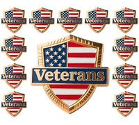 12/25/50/100 pieces United States Veterans pin USA Enamel Veteran’s Day Memorial Patriotism Lapel Pin US American patriotic U.S. military Soldier Veteran brooch pins Souvenir Gift badge bulk, M Size