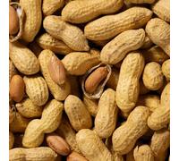 12.5 kg Peanuts in Shell for Wild Birds - Monkey Nuts Whole Unsalted Bird Food - Natural High-Energy Feed for Garden Birds - Sold Per KG in Clear Bags