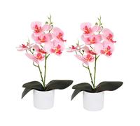 12" Artificial Orchid Flowers in Pots - 2 Set Faux Phalaenopsis Potted Plants for Home Decor, Unfading Moth Orchids for Indoor Spring Decor, Real Touch Silk Flowers for Desk/Shelf/Centerpiece (Pink)