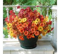 12 Bundles Autumn Artificial Flowers Plants for Fall Decor Outdoor Indoor, Yellow Orange Fake Silk Flowers Stems Floral Arrangement, UV Resistant, No Fade, Faux Greenery Mums for Pots Porch Garden