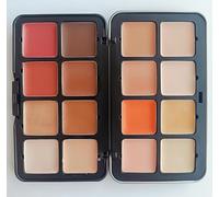 12 Colors Cream Concealer Palette Blush Palette Natural Color Corrector Matte Cream Face Makeup Palette Long Lasting Makeup Perfect Skin (16 Colors)