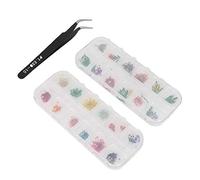 12 Colors Dried Flower Nail Decoration Kit DIY Nail Art Accessories, Bright Colors, Easy to Store and Carry, Each Style Has 12 Colors, Suitable for DIY Nail Art At Home or in
