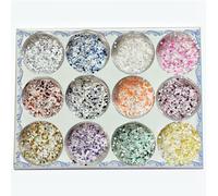 12 Colors Eco-Friendly Cosmetic Glitter, Non-Toxic Festival Glitter for Nails, Hair, Eye Makeup, DIY Art 12 Colors (Snowflake-A)