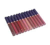 12 Colors Matte Lip Gloss, Matte Liquid Lipstick Set, Long Lasting, High Pigmented, 24 Hours Locked in Color