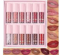12 Colors Nude Liquid Lipstick Makeup Set Velvet Matte Long-Lasting Waterproof Non-Stick Cup Not Fade Pink Lip Gloss Red Lipstick Makeup Set Gift Kit For Women (Set C)