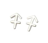 12 Constellation Silver Stud Earrings, Sagittarius (23Rd November - 21St December) Mini Dainty S925 Sterling Silver Astrology Horoscope Zodiac Stud Earrings for Women Teen