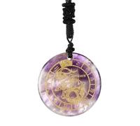 12 Constellation Tiger Eye Necklace Natural Crystal Stone Carve Pendant-Capricorn ()