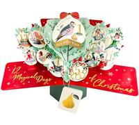 12 Days Xmas Pop Up Christmas Greeting Card Second Nature 3D Cards Pop Ups XPOP071
