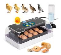 12 Eggs Automatic Digital Egg Incubator | Auto Turning & Temperature Control Poultry Hatcher for Chicken Duck Quail Bird Eggs