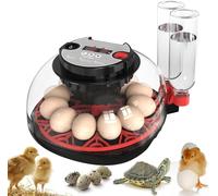 12 eggs Incubator with Automatic Egg Turning and Humidity Control, Incubators for Hatching Eggs, Chicken, Ducks, Goose, Pigeon, Quail, Parrot Incubator for Farm, Lab, Science Classroom (Black and red)