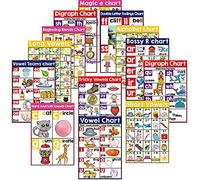12 English Phonics Poster Language Arts Charts for Kids Toddler Learning Vowels Posters for Kindergarten, Preschool, Primary School Alphabet Bulletin Board Set Classroom Wall Decoration (16 x 11 Inch)