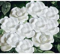 12 Exquisite Edible Sugar Fondant Rose Blossom/Daisy Flowers; 2.7cm Birthday, Wedding/Anniversary, Baby/Bridal Shower, Easter, Mothers Day Cake/Cupcake Toppers/Decorations (White)