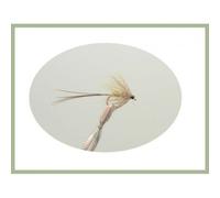 12 French Partridge Mayflies Trout Fishing Flies - Sizes 10-12 (All mixed)